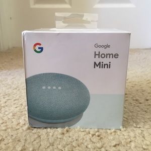 NWT Aqua Google Home Mini